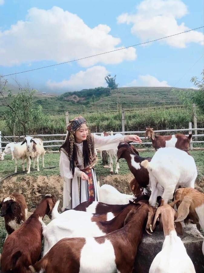 O Chau Homestay Lao Cai Exterior photo