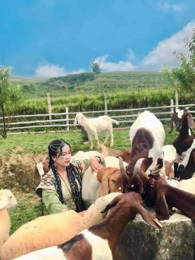 O Chau Homestay Lao Cai Exterior photo